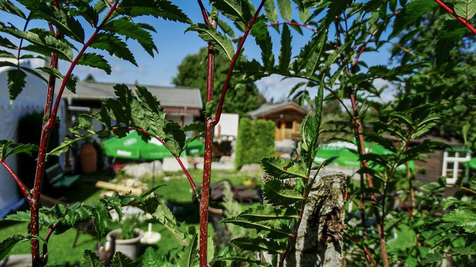 Ein besonderer Ort für besondere Konzepte - aktuell Nutzung als Saunawelt - gut eingeführt &amp; beliebt – DSC00029