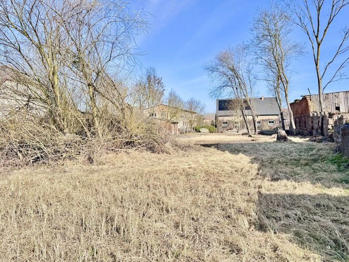 HORN IMMOBILIEN++ Baugrundstück in Rossow bei Pasewalk – Grundstück