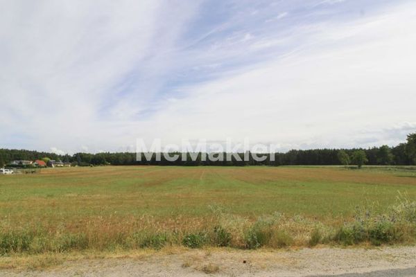Terrain agricole loué – terres cultivables et forêt