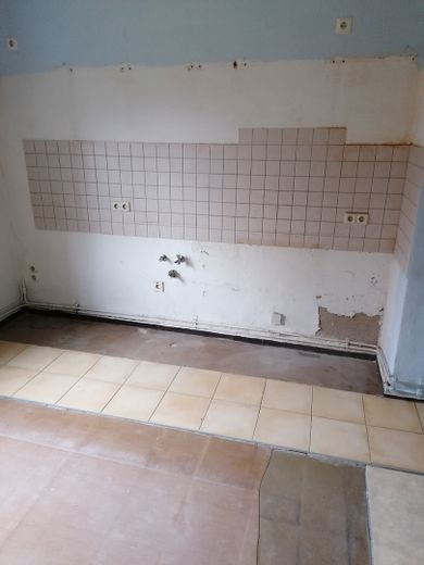 große Gutshaushälfte mit tollem Grundstück am Naturschutzgebiet, sehr ruhig gelegen – Küche,EG rechts, vor Renov.