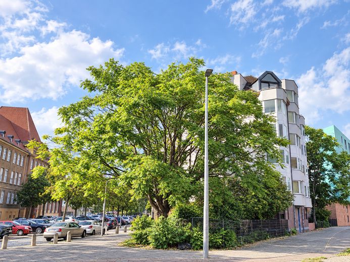 senza commissioni, appartamento di 3 locali ai margini di Berlino, posizione da sogno, terrazze soleggiate – Baum vor den Küchenfenstern