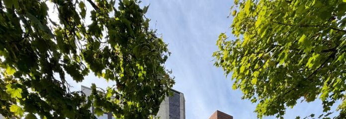 Gewerbeensemble in Waldbronn – Bankfiliale, Fitnessstudio, Praxis, Büroflächen & 5 TG-Stellplätze