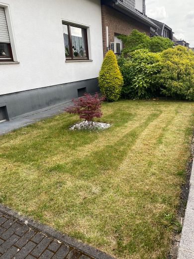 Achtung Preisalarm... Wunderschönes Einfamilien o. Zweifamilien / Mehrgenerrationenhaus – Vorgarten