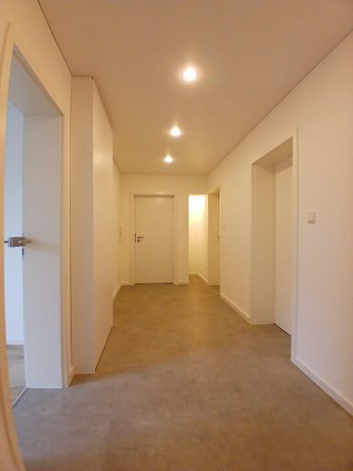 Piso de 4 habitaciones completamente renovado con balcón en Trier-Heiligkreuz – de alta calidad y listo para entrar a vivir – Flur