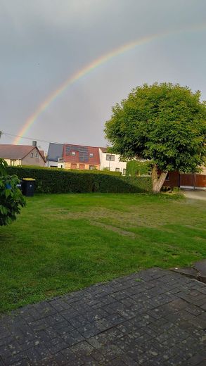 2 Wohnhäuser plus 3 Garagen in Storbeck – Foto 3