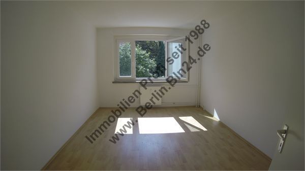 G0032271
