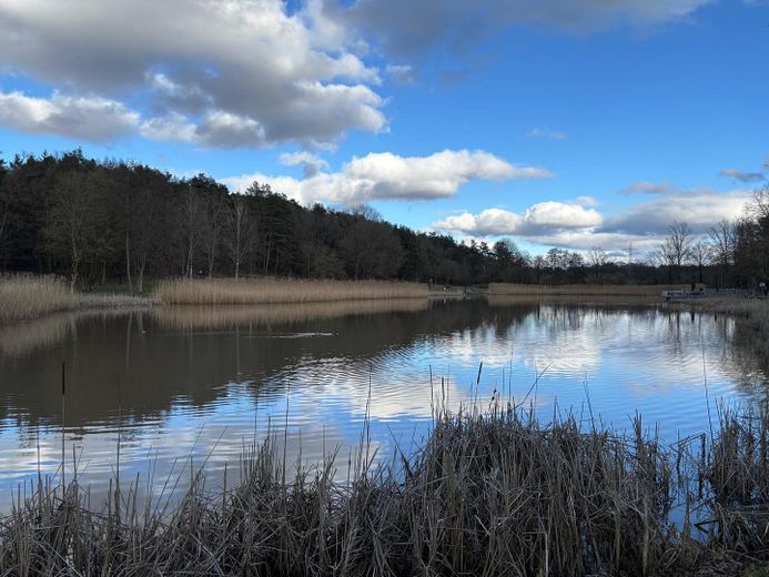 Hochwertig sanierte ETW in Miesenbach am Seewoog – Foto 17