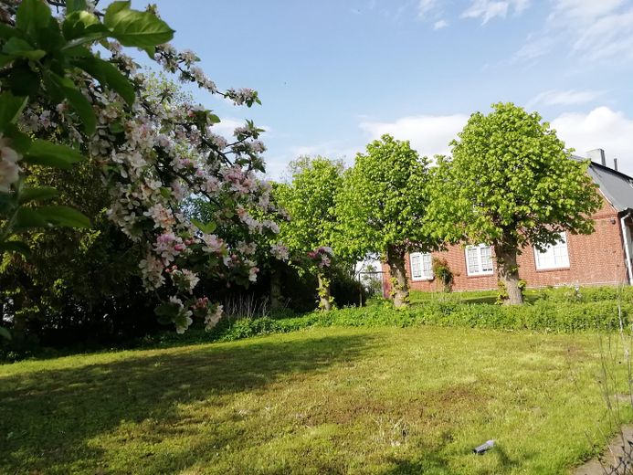 EG Wohnung in ruhigem Zweifamilienhaus sucht Hobbygärtner – Der Gartenanteil der Wohnung