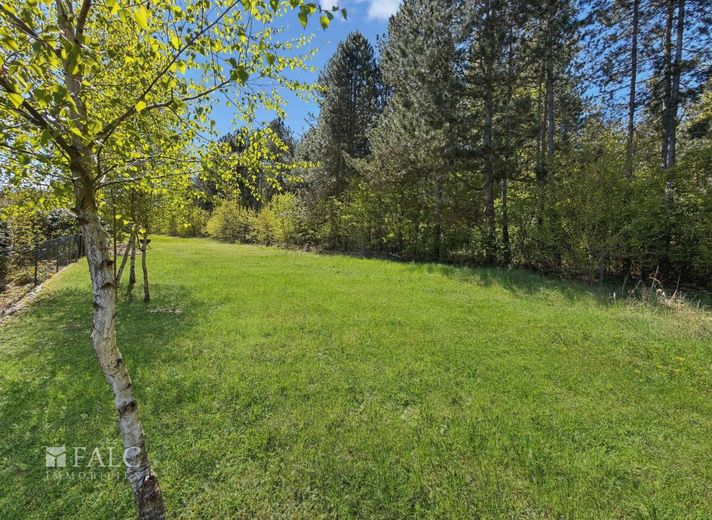 Provisionsfrei. Ihr Chance, modern, ebenerdig und in bester Lage! – Blick zum Wald