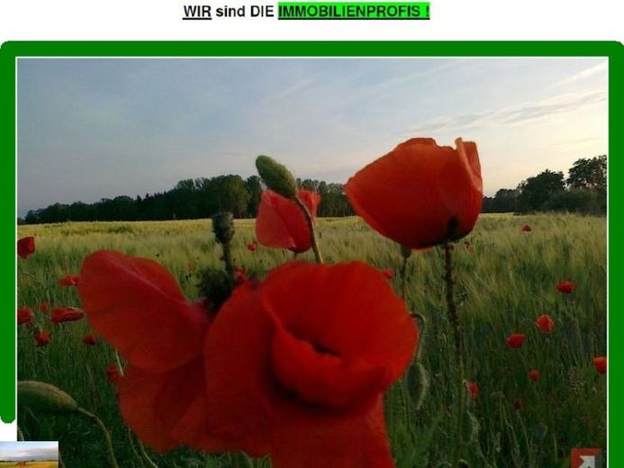 *** Landwirtschaftsflächen 4,0647 ha - pachtfrei *** – फोटो 1