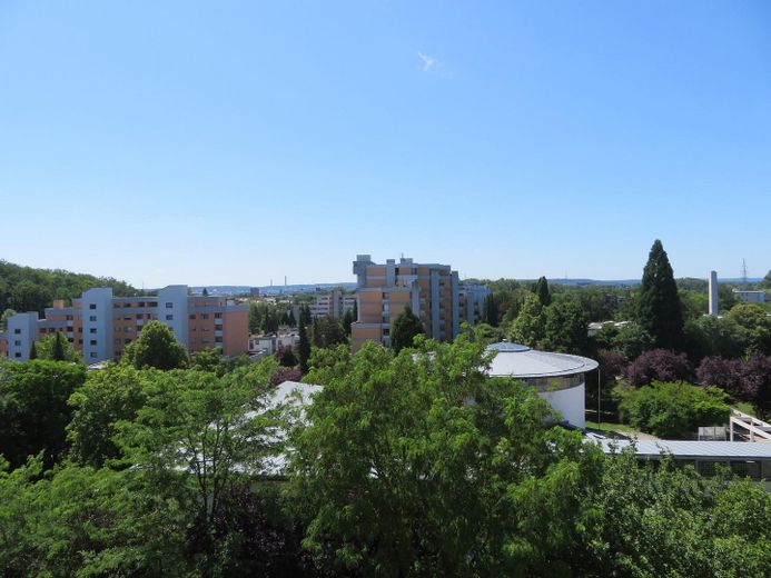 Ausblick