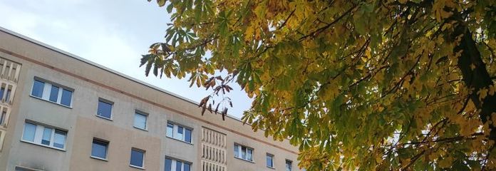 Familienwohnung mit Balkon - sofort verfügbar!