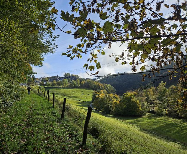 Herbstwanderung Nordenau