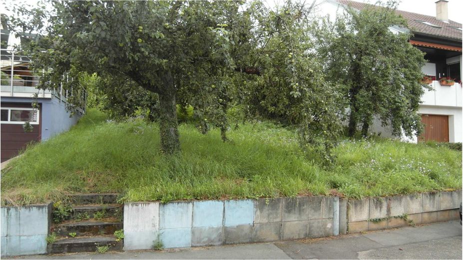 (Reserviert)Bauplatz in Gemmrigheim mit Nähe zur Natur – Blick von der Wörthstraße