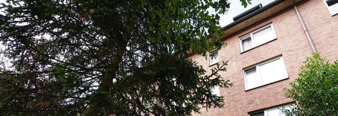 Apartment building with 13 units in Eilbek