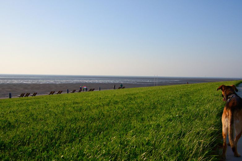 Trischendiek Strand