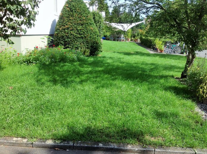 3 Zimmer Wohnung mit Gartenbenutzung – Garten
