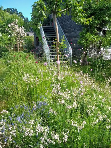 شقة جميلة من 3 غرف في مشروع سكني في Ahrensburg (قرب هامبورغ) – Foto 3