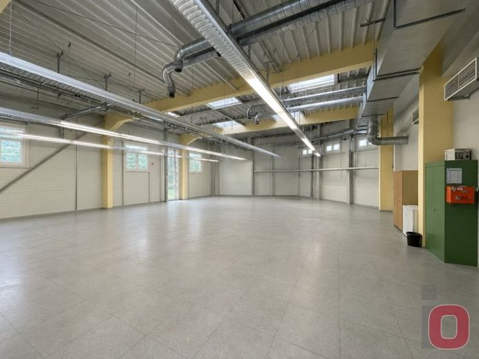 Perfekt für Elekronik & IT - ca.520m² Halle mit antistatischem Sepzialboden – Foto 1