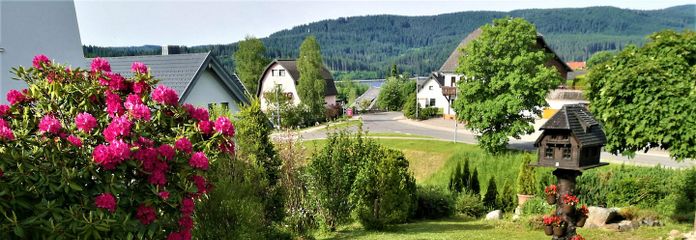 Garten linke Seite