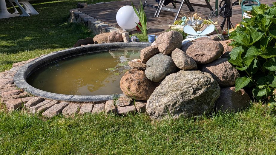 Baubiologischer, moderner Wohntraum in Top-Lage  · Chemnitz - Glösa-Draisdorf – Ansicht Garten Teich
