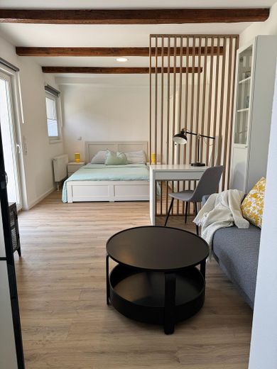 Voll möbliert: Brandneue, liebevoll eingerichtete Wohnung mit großer Terrasse und Garten in Dresden – Wohn- und Schlafzimmer
