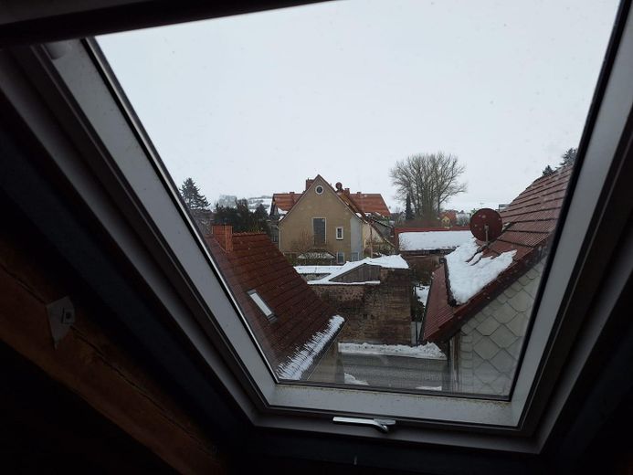 Velux Schwingklappfenster