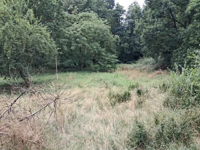 Ampio terreno centrale con area edificabile e positivo preavviso di costruzione a Hitzacker(Elbe) – Foto 2