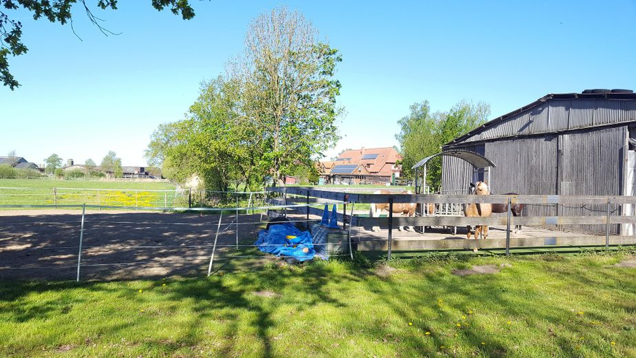 Ideal für Pferdehaltung - Einfamilienhaus, Baugrundstück, Stall und Hausweide / Resthof – Paddock und Stall