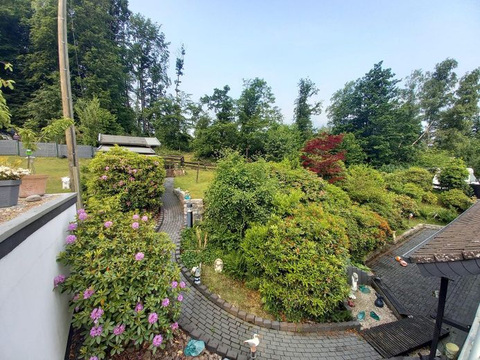 Blick in den Garten