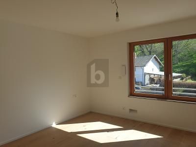 PIERWSZE ZASIEDLENIE EKSKLUZYWNEGO NOWEGO BUDOWNICTWA NAD CHIEMSEE  MIESZKANIE 4/9 – 1777047646_5ae174.jpg