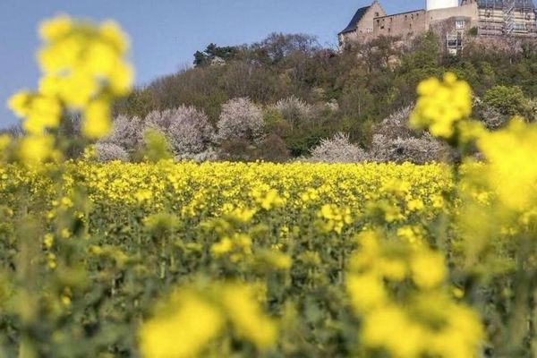 Otzberg: İdiliktar tarla kenarı konumunda cazip 3 ailelik ev