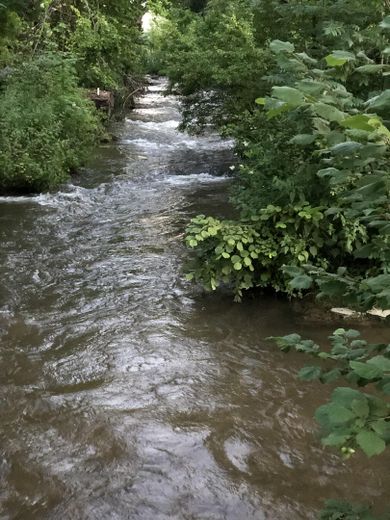 Helle, ruhige und naturnahe Etagen-ETW in bester Lage – Foto 12