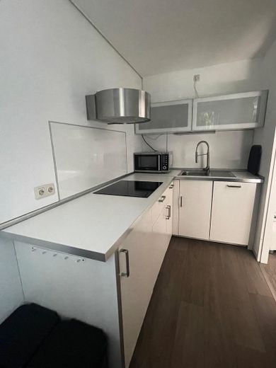 Muy bonito piso de 2 habitaciones con vistas al parque urbano de Aquisgrán, incl. muebles y cocina amueblada – Küche