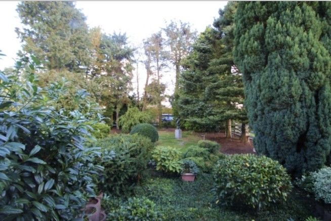 Atrium Bungalow alles auf einer Ebene in Schenefeld Dorf direkt am Klövensteen Forst – Ausblick Küche in den Garten