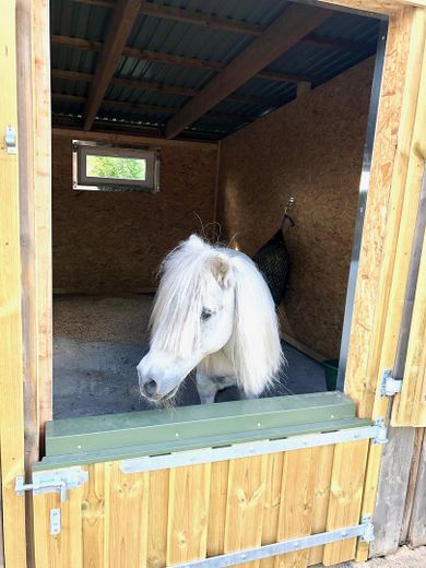 Leben zwischen Land und Meer – Stilvoll modernisierter Resthof – Pferdebox Pony