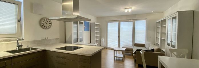 Wohnzimmer / Küche 1