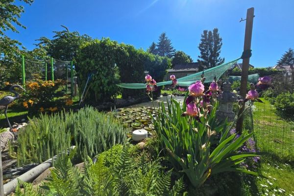 Oasis verdoyante pour toute la famille – maison individuelle bien entretenue avec piscine, étang et cuisine d’été