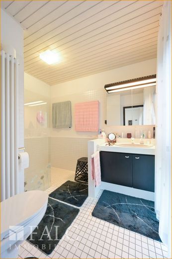 EG Bad mit WC und Dusche