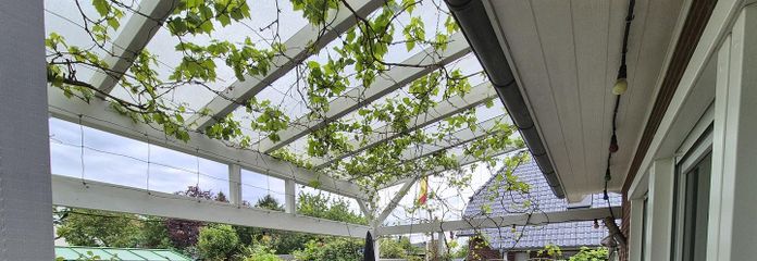 Terrassendach mit Weinpflanzen