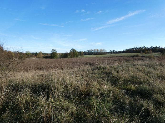 Blick Richtung Dorf