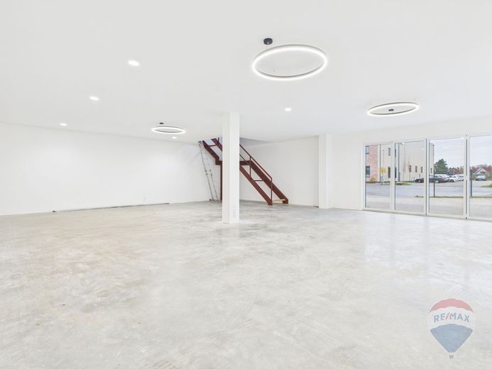 Halle / Ausstellung