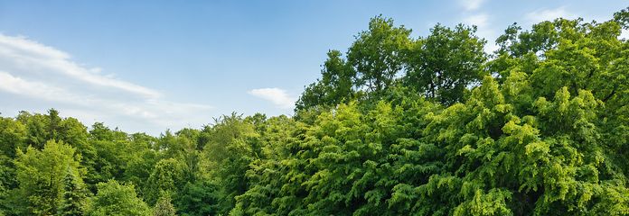 Blick vom Balkon