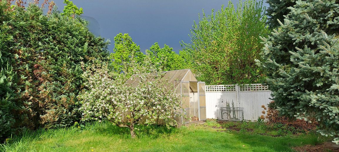 Das Haus im Rande des Waldes