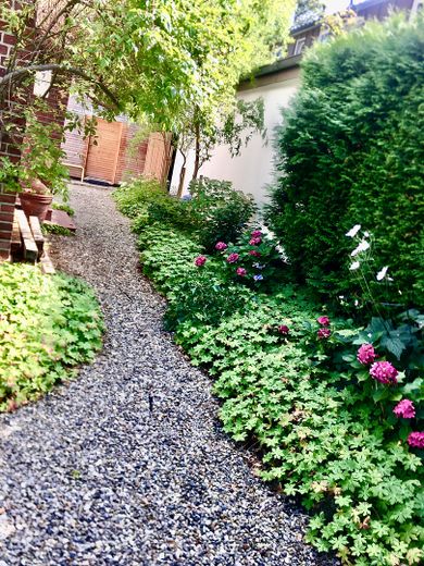 Gartenbungalow in Niendorf – Foto 13