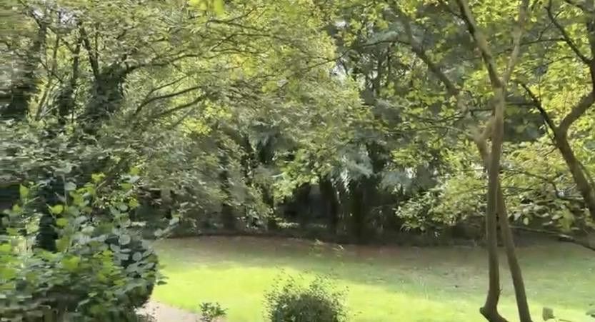 Zehlendorf: 3 habitaciones libres de comisión, en excelente estado, cerca del parque Laehr – Blick aus der Loggia ins Grüne
