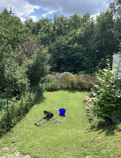 Garten im Sommer