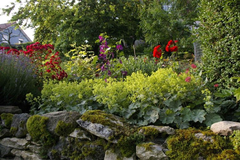 Garten Impressionen