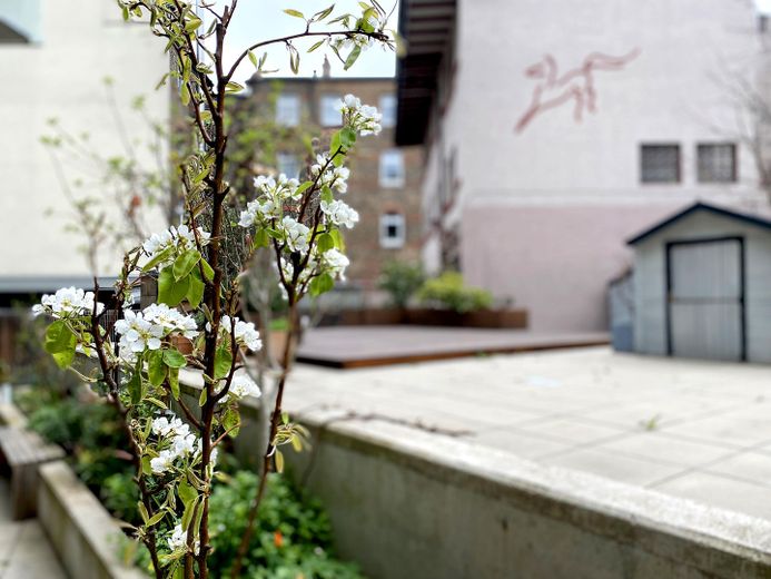 Townhouse-Wohnung Neckarstadt-Ost / Terrasse und Gartennutzung / 2 Balkone / Perfekt für Familien – Außenbereich