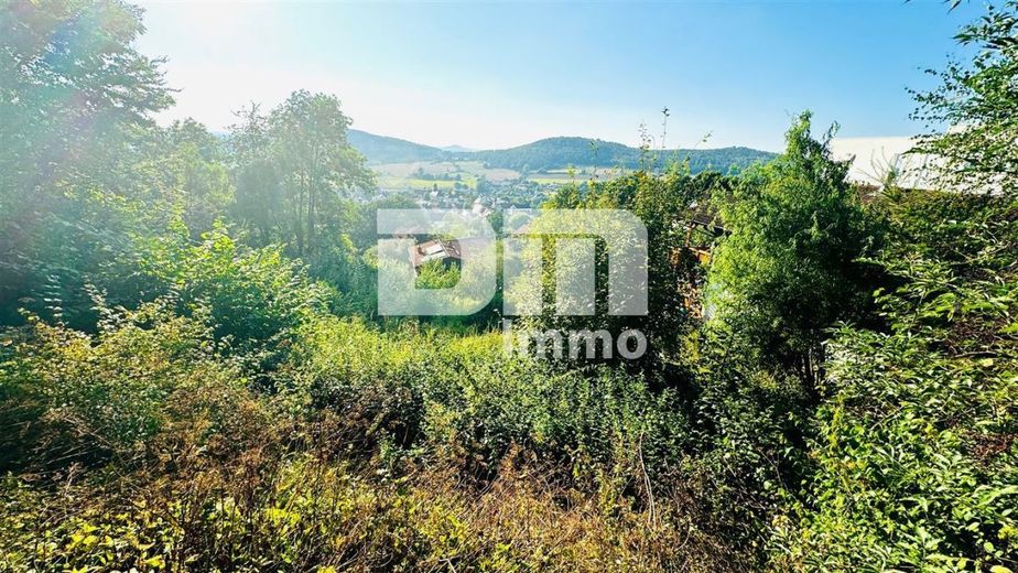 Ausblick Panorama